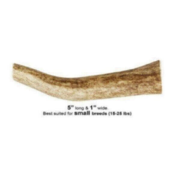 Set of Two KONG Wild Whole Elk Antler Dog Chew, Small - Picture 5 of 5